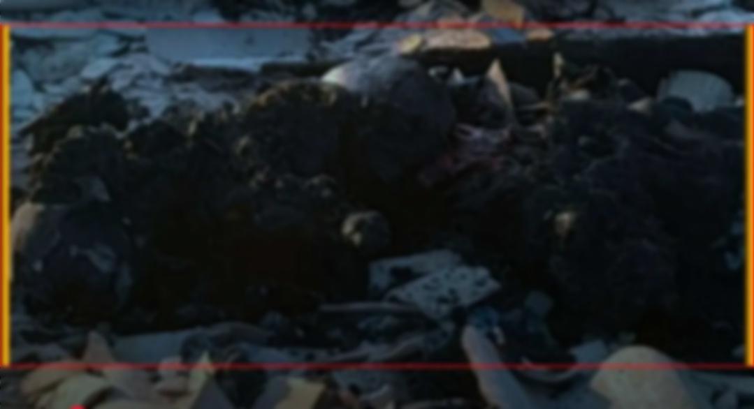 Mulher indígena é morta e carbonizada em MS; ex-marido é suspeito