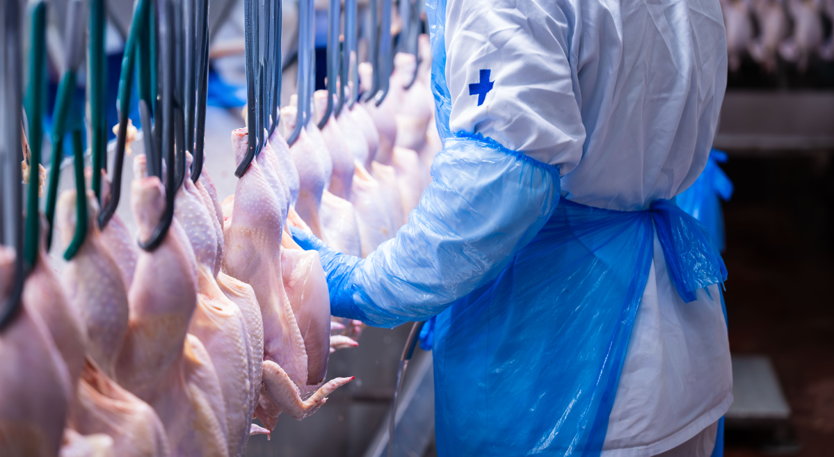 MBRF amplia contrato com Arábia Saudita e inclui carne bovina