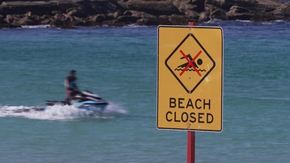 Mulher fica gravemente ferida após ataque de tubarão na Austrália
