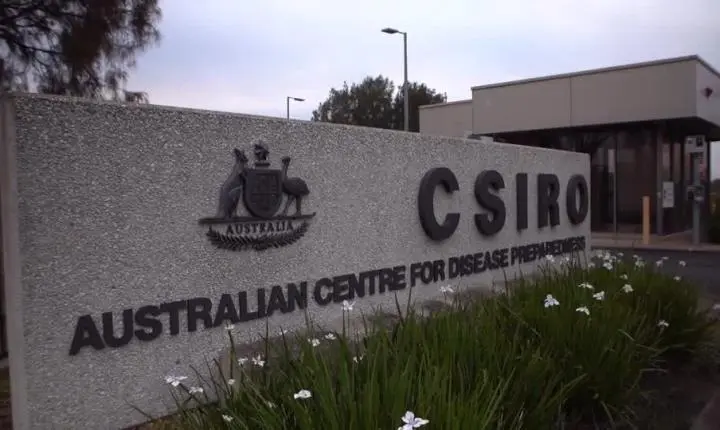 Austrália relata segundo caso de gripe aviária H5N1 em menos de uma semana
