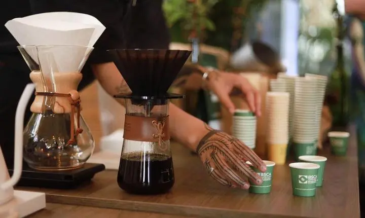 Dia Mundial do Café: Brasil tem mais regiões produtoras do grão que UFs