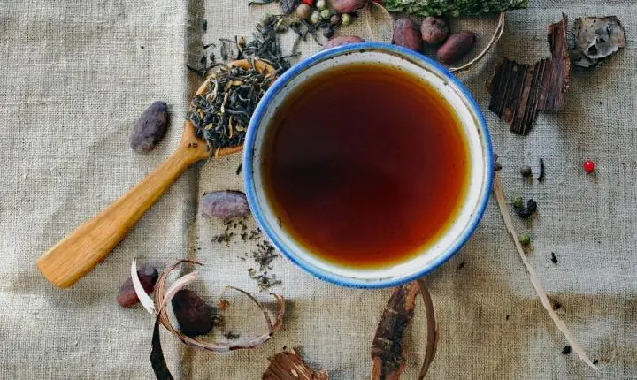 Dificuldade para dormir no frio: quais chás ajudam a aquecer e melhorar o sono