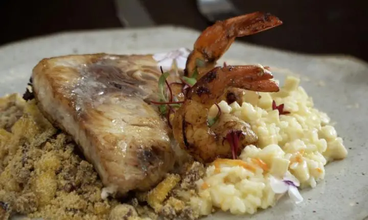 Guia da meca santista: onde comer o prato em Santos