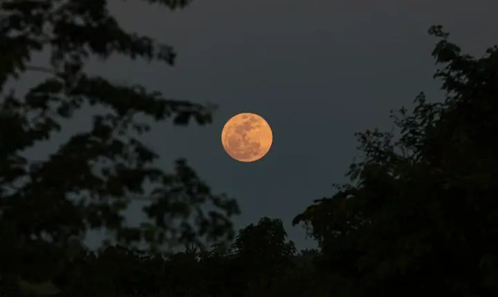 “Lua Cheia das Flores” ocorrerá em 1º de maio; entenda significado