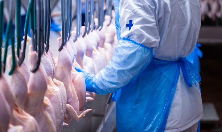 MBRF amplia contrato com Arábia Saudita e inclui carne bovina