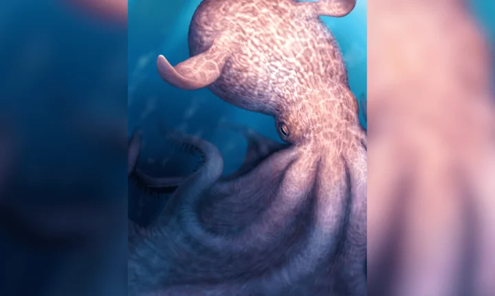 Polvos de quase 20 metros eram os predadores do topo há 100 milhões de anos