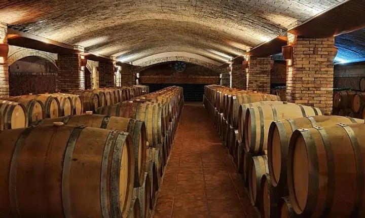 Roteiro pelas vinícolas de altitude em São Joaquim e Urubici