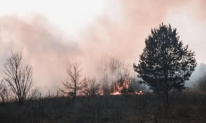 Urgência climática cai 7 pontos no Brasil, mostra pesquisa